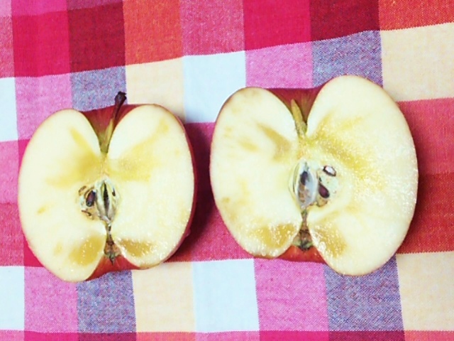 弘前市のリンゴ