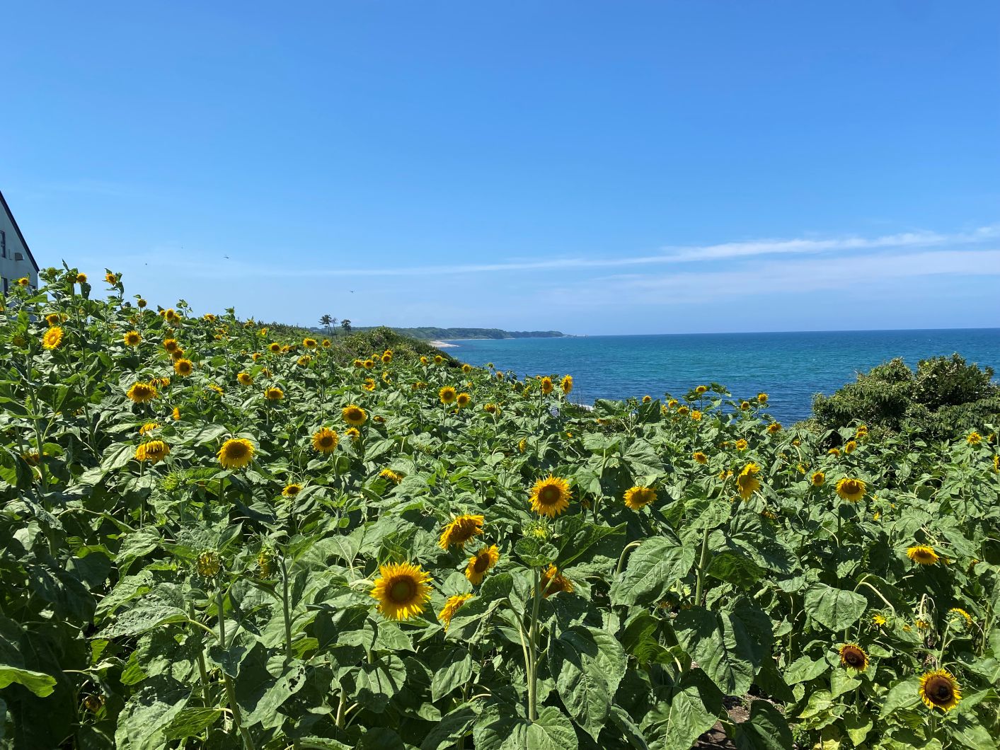 鳥取県・鳴り石の浜