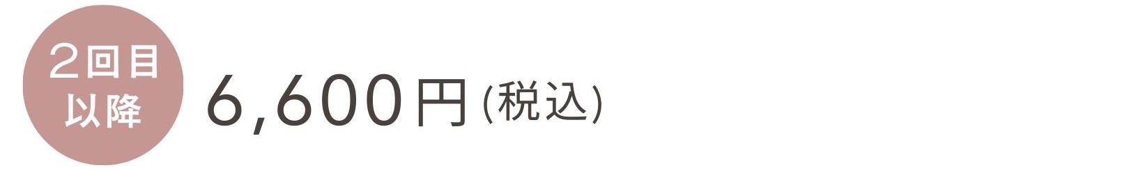 2回目以降料金6,600円