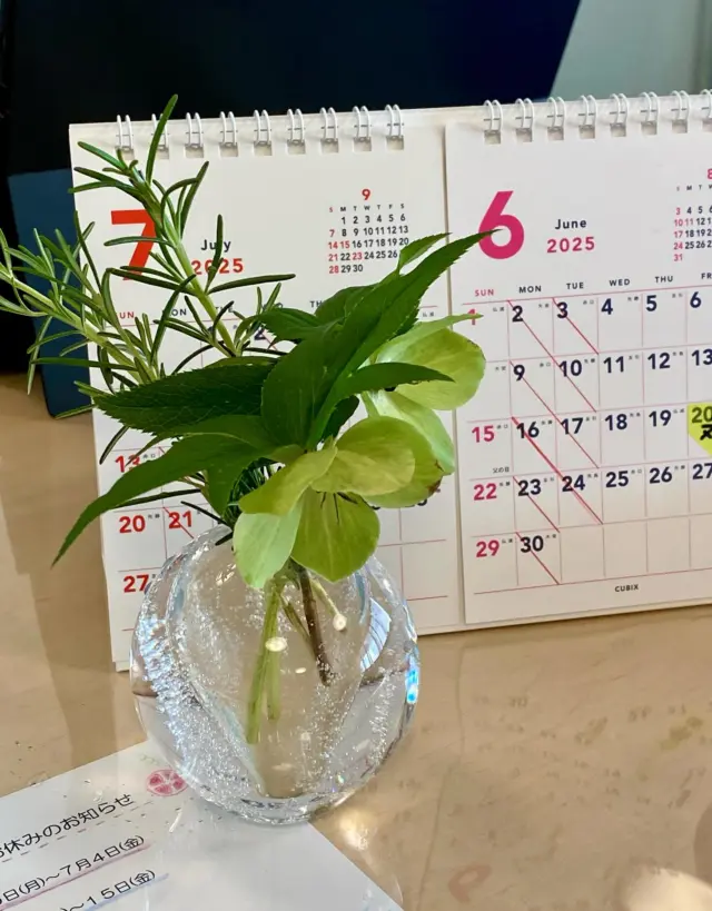 こんにちは🌞
今朝は庭のクリスマスローズを飾りました。
猛暑の中、庭を彩ってくれる草花に癒されています🌿
今日も素敵な1日をお過ごしください☺️

#一輪挿し
#クリスマスローズ
#草津アアルト整体院
