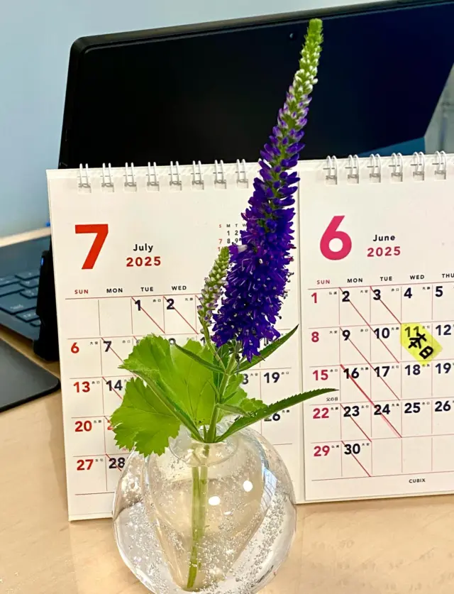 こんにちは☔️
施術室に、ベロニカ・ハミングバード（ブルー）を飾りました。
夏にぴったりな爽やかな色で、秋まで咲き続ける宿根草です💙
ご来院の際は、ぜひご覧ください☺️

#草津アアルト整体院 
#一輪挿し
#ベロニカハミングバード 
#ベロニカハミングバードブルー