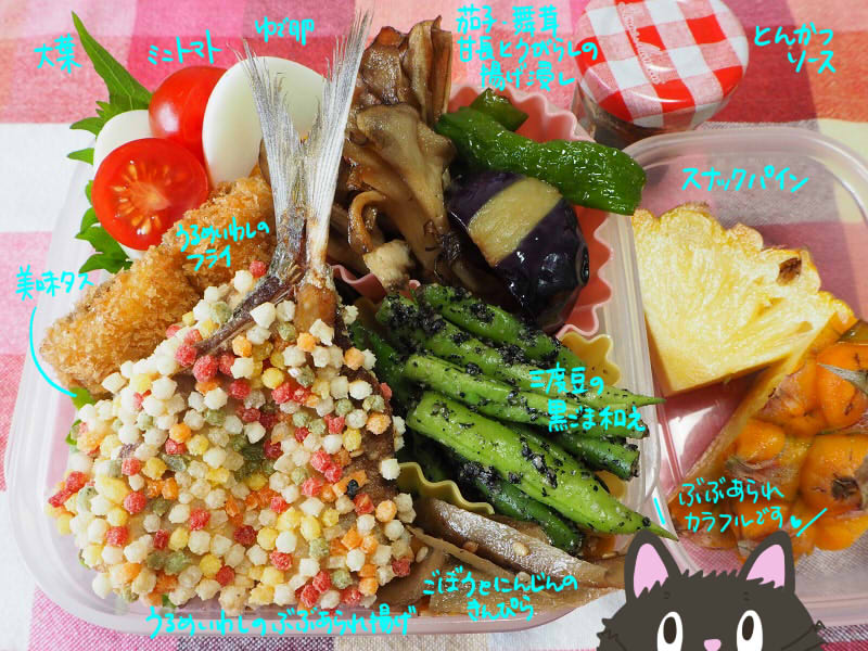 お弁当日記 121 うるめいわしのぶぶあられ揚げ 草津市の整体 滋賀草津カイロプラクティック 広報係 まめこのブログ