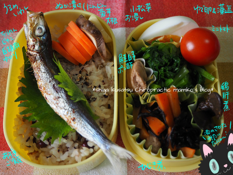 お弁当日記 405 鮭白子ポン酢 草津市の整体 滋賀草津カイロプラクティック 広報係 まめこのブログ